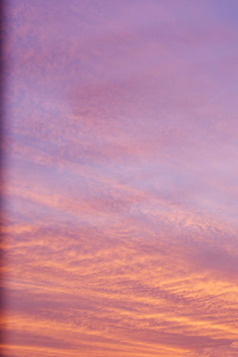 c0221894_75942.jpg