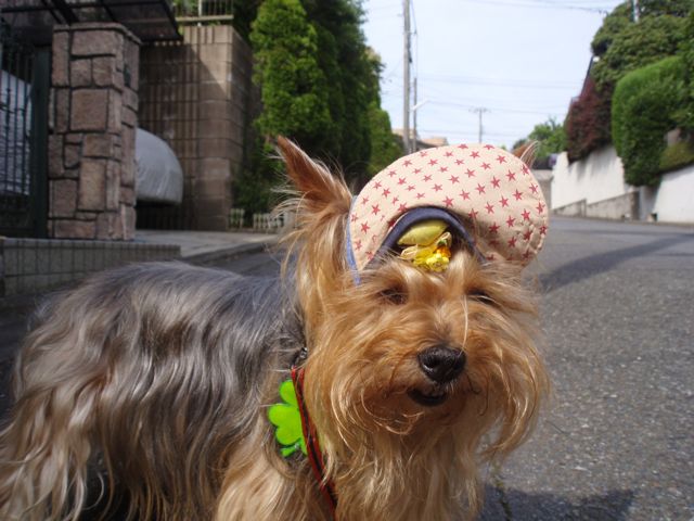 f0130894_214151.jpg