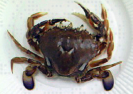 f0008597_205827.jpg