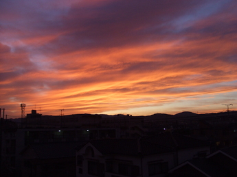 e0180099_164408.jpg