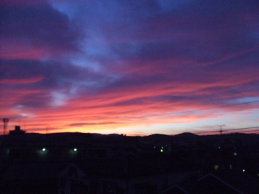 e0180099_167473.jpg