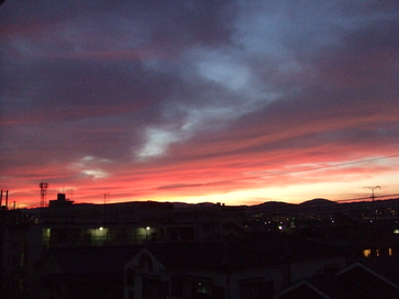 e0180099_1675735.jpg