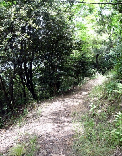 e0043700_22293275.jpg