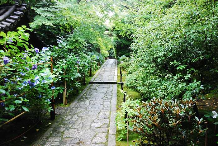 e0153702_20442072.jpg