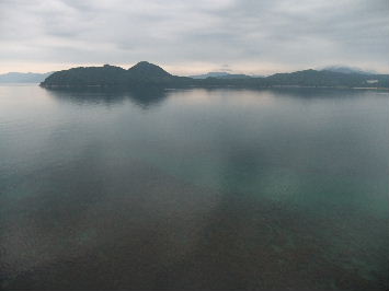 d0024504_20535254.jpg