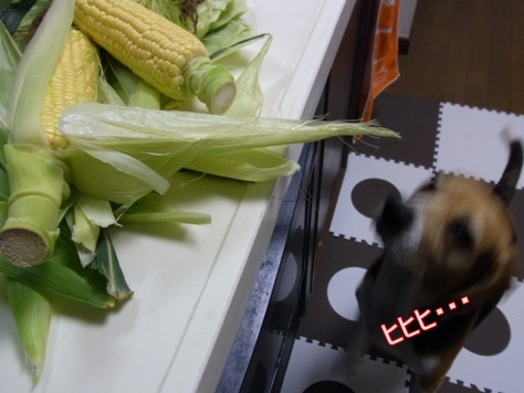 c0205806_2039426.jpg