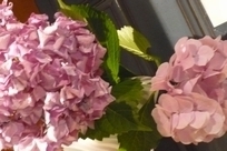 f0221708_18111092.jpg