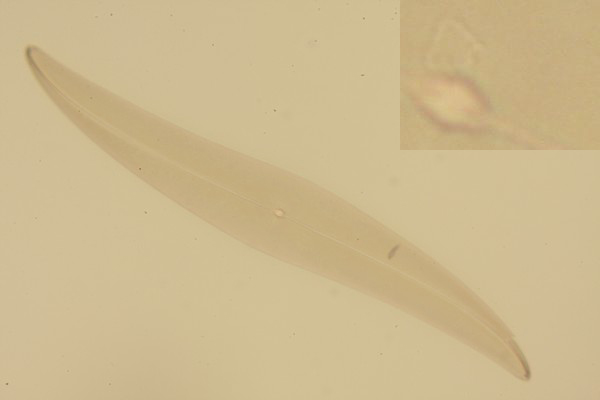 c0164709_18181276.jpg