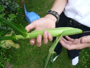 e0134713_22495599.jpg