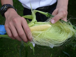 e0134713_2250848.jpg