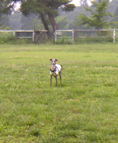 c0003217_15683.jpg