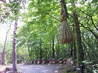 b0073322_1944985.jpg