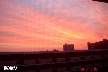 b0102728_11402973.jpg