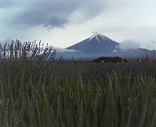 c0141431_23175343.jpg