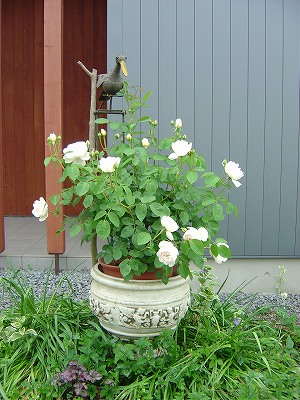 f0205733_0512131.jpg
