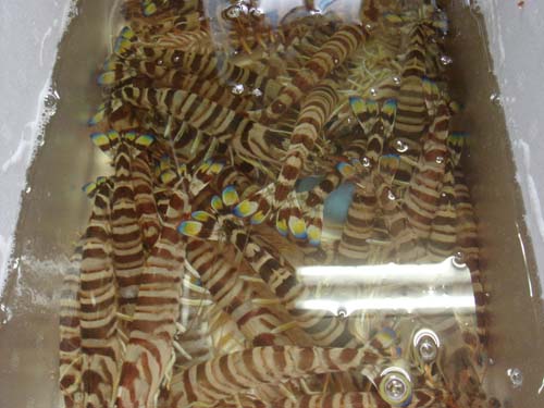 f0208737_8442199.jpg