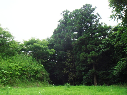 e0119840_20104597.jpg