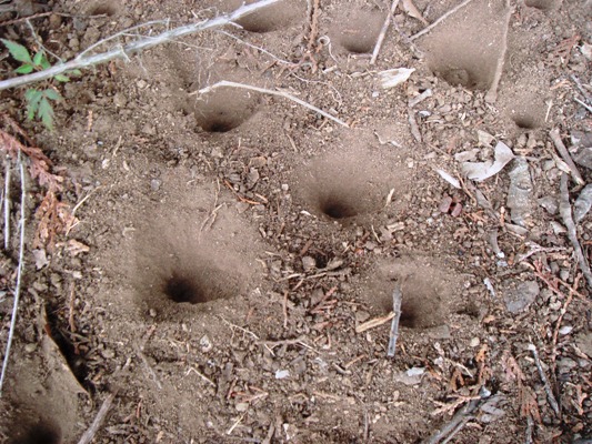 e0119840_20273610.jpg