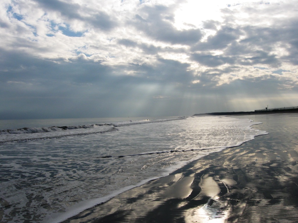 佐野まり　Mari Sano