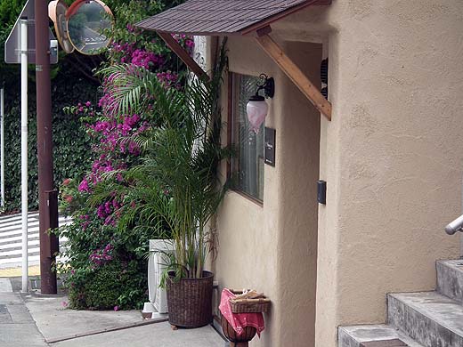 e0050753_1011431.jpg