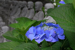 c0016056_22531980.jpg