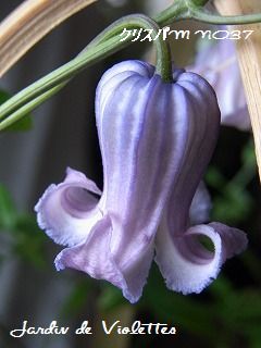 e0118257_1651611.jpg