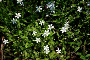b0086858_15324748.jpg