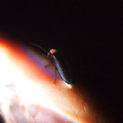 c0122670_21112638.jpg