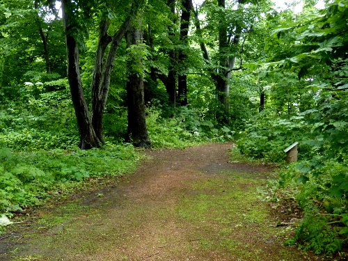 d0084473_21561558.jpg