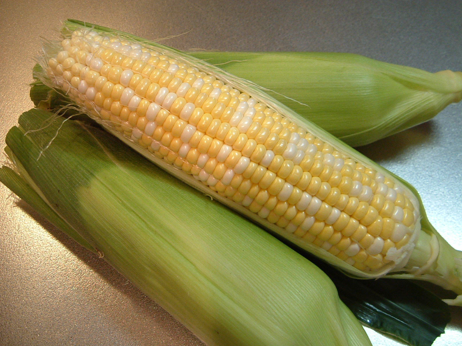a0135577_715217.jpg