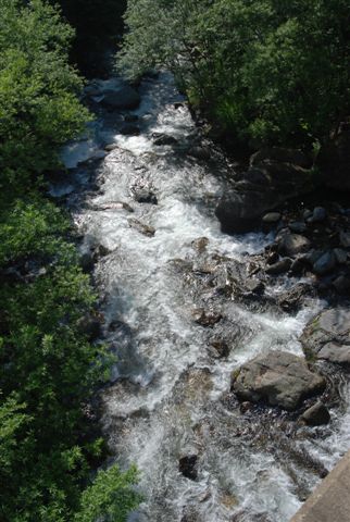 d0164783_232960.jpg