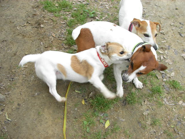 c0214384_1301458.jpg