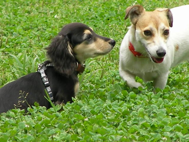c0214384_1313033.jpg