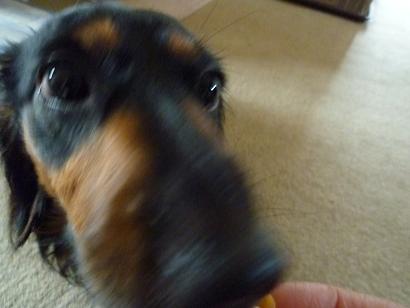 c0123890_2118942.jpg
