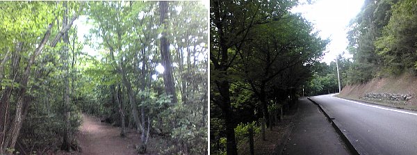 f0125091_203613100.jpg