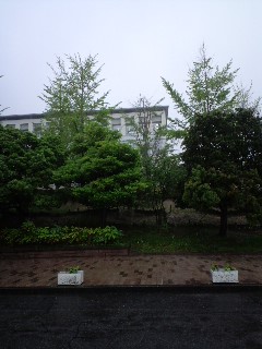b0118793_1257754.jpg