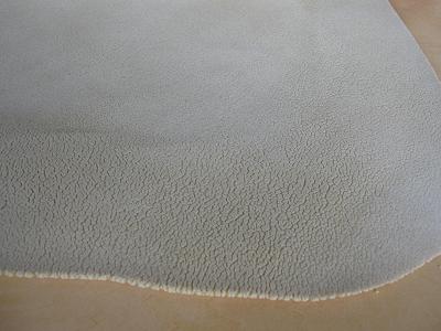 c0118495_21344142.jpg