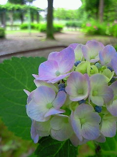 f0114900_18151420.jpg