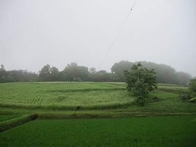 c0076204_234223100.jpg