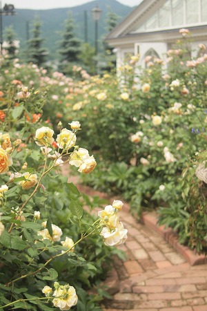c0202705_21415246.jpg