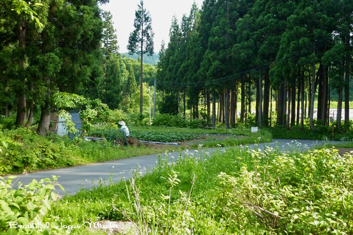 c0067206_10375862.jpg