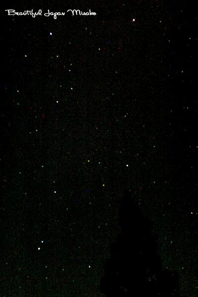 c0067206_11331080.jpg