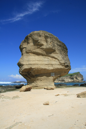 e0028811_2327113.jpg