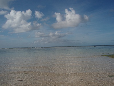 e0071811_20515422.jpg
