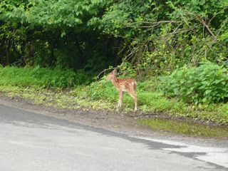 b0040413_07415.jpg