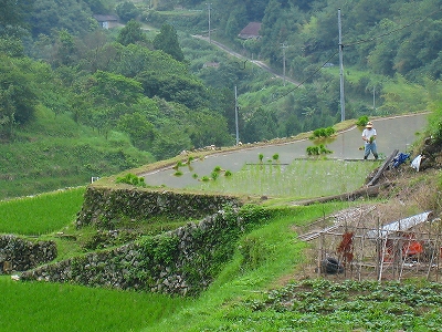 e0002820_224212100.jpg