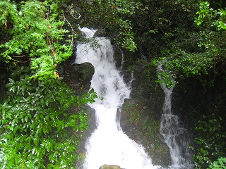 e0002820_22482171.jpg