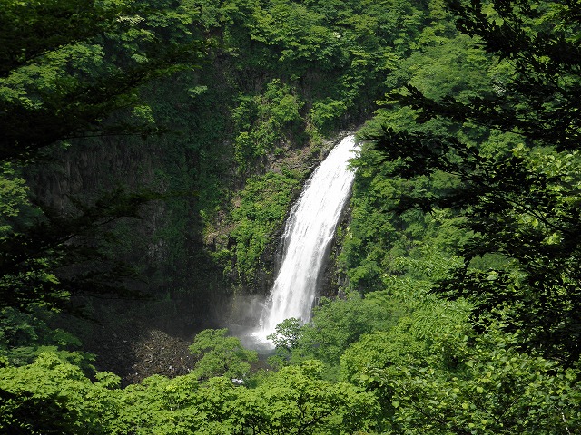 b0138522_9194342.jpg