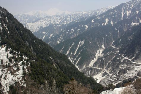 f0137324_12294124.jpg