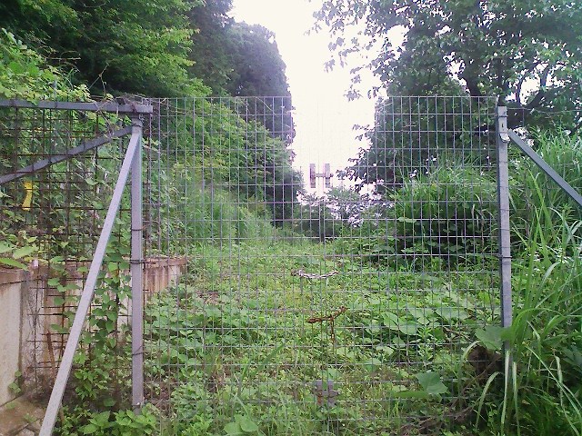 b0184725_14132986.jpg